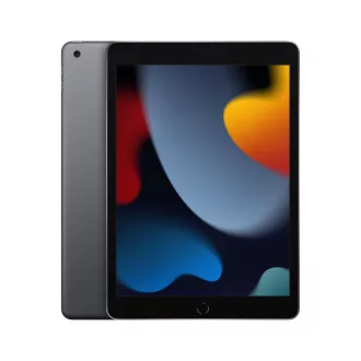   Apple iPad 256 GB 25,9 cm (10.2") Wi-Fi 5 (802.11ac) iPadOS 15 Szürke