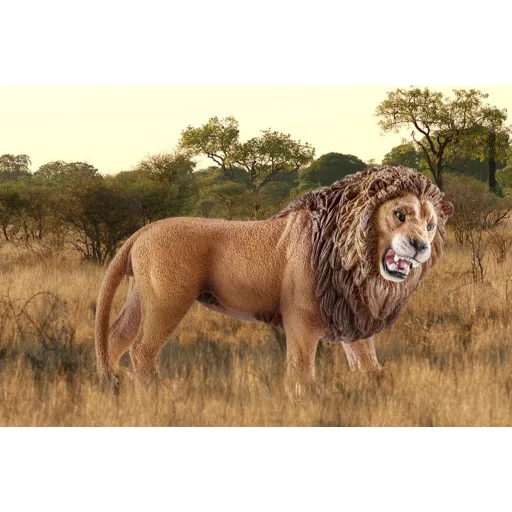 schleich WILD LIFE 14726 gyermek játékfigura