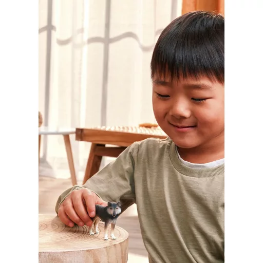 schleich WILD LIFE 14991 gyermek játékfigura