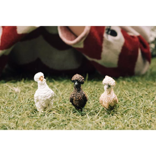 schleich FARM WORLD 42574 játékszett