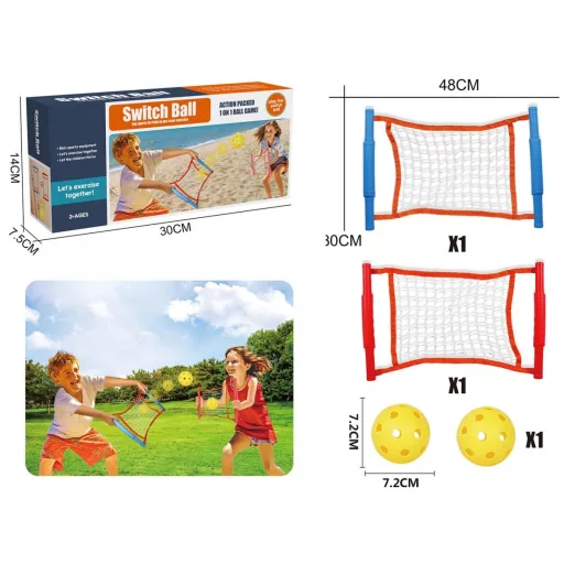 Beach net-catcher game