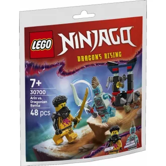 30700 Ninjago Arins Duell mit dem Drachenmenschen (Polybag)