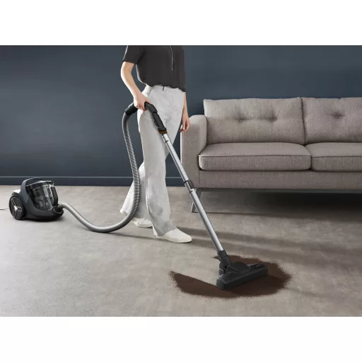 Rowenta Green Force RO7C36 2,5 L Henger alakú vákuum Száraz 500 W Porzsák nélküli
