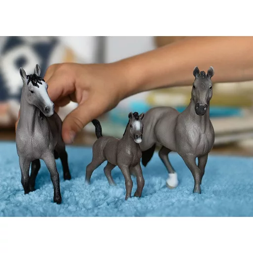 schleich HORSE CLUB 13957 gyermek játékfigura