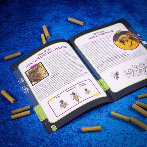 Set I'M A Genius - Bee Laboratory