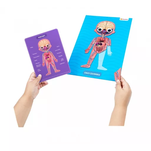 Set Playshifu My super human body