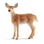 schleich WILD LIFE 14819 gyermek játékfigura