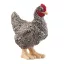 schleich FARM WORLD 13997 gyermek játékfigura