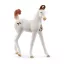 schleich HORSE CLUB 14896 gyermek játékfigura