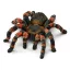 schleich WILD LIFE 14829 gyermek játékfigura