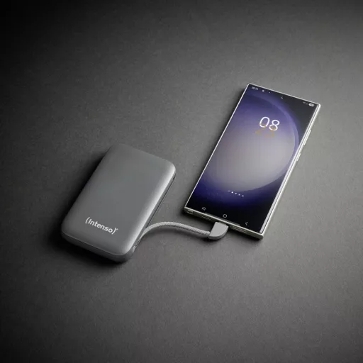 Intenso S10000 Lítium-polimer (LiPo) 10000 mAh Szürke