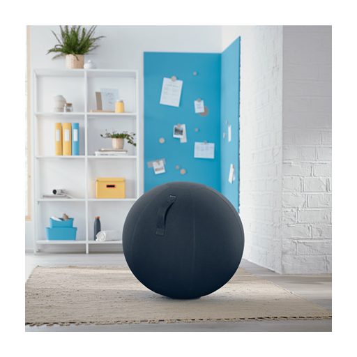 Leitz Ergo Cosy Szürke Beltéri Kör