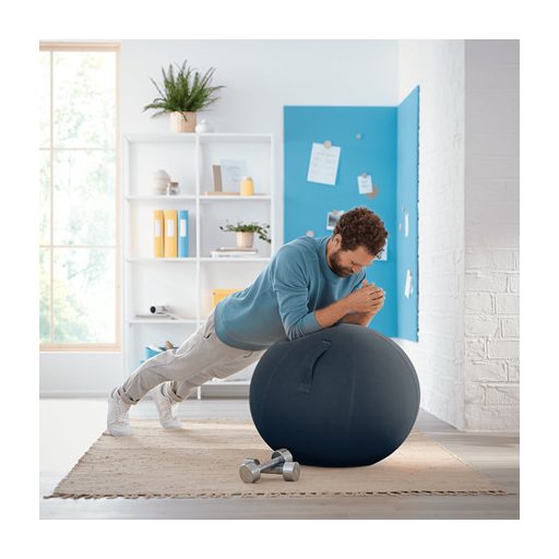 Leitz Ergo Cosy Szürke Beltéri Kör