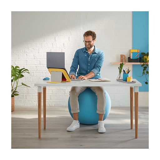 Leitz Ergo Cosy Szürke Beltéri Kör