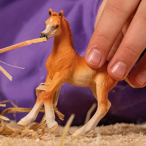 schleich HORSE CLUB 13984 gyermek játékfigura