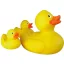 Lena Duck family