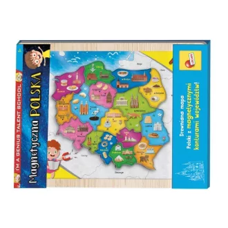 IM A Genius Magnetic map of Poland