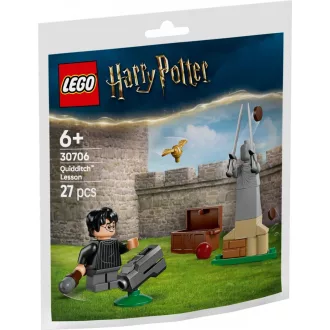 30706 Harry Potter Quidditch Training (Polybag)