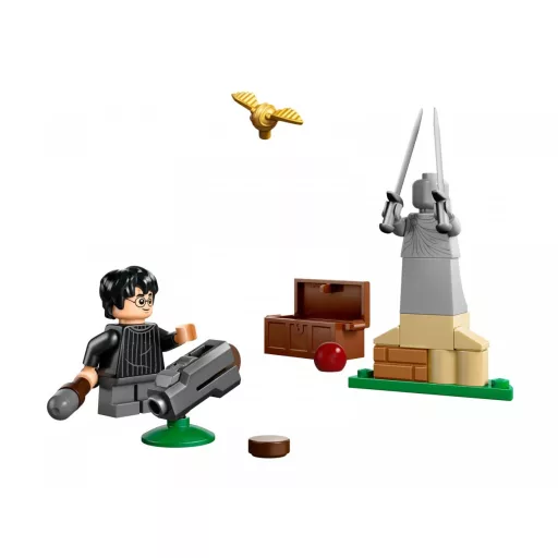 30706 Harry Potter Quidditch Training (Polybag)
