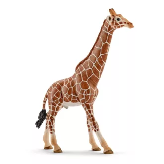 schleich WILD LIFE 14749 gyermek játékfigura