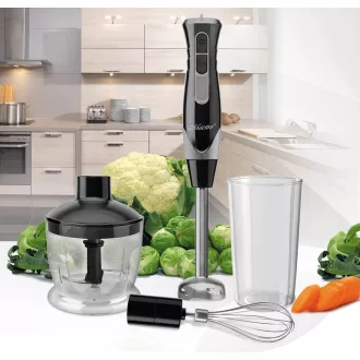 Blender set MR-566
