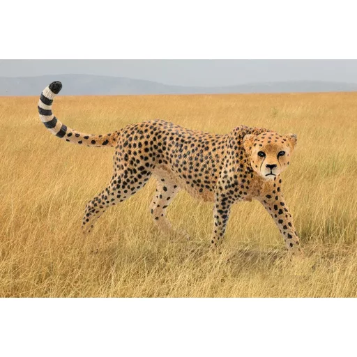 schleich WILD LIFE 14746 gyermek játékfigura